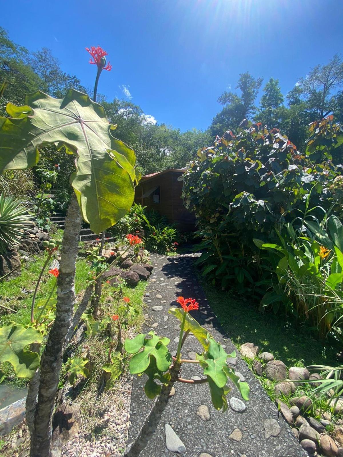 Le Domaine du Rocher Noir Pointe-Noire Extérieur photo